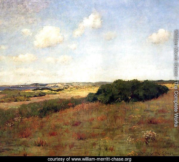 Sunlight and Shadow, Shinnecock Hills, c.1895