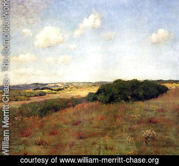 William Merritt Chase - Sunlight and Shadow, Shinnecock Hills, c.1895