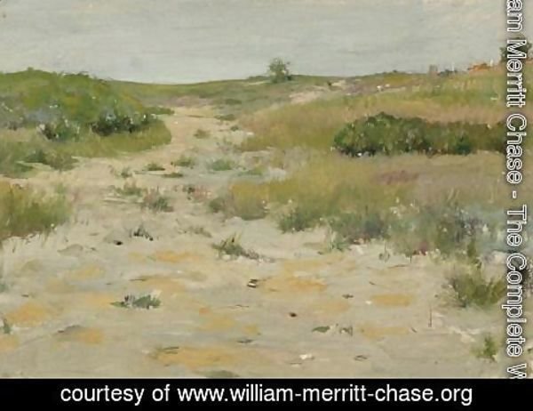 William Merritt Chase - View of Shinnecock Hills