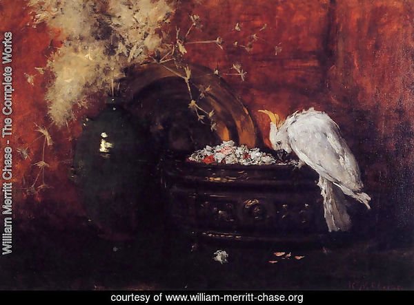 Still Life with Cockatoo