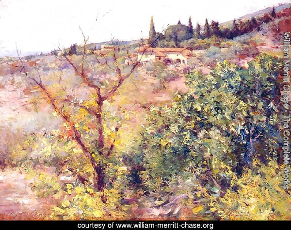 View of Fiesole