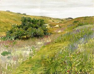 William Merritt Chase - Landscape  Shinnecock Hills