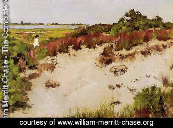 William Merritt Chase - Shinnecock Landscape3